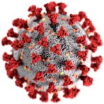 Kleiner Virus, große Auswirkung: SARS Covid19 Virus verursacht Corona-Pandemie. Foto:Wikipedia